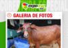 📷Galería de fotos | La Reserva una cabaña nueva pero con excelentes animales