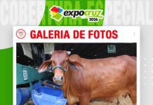 📷Galería de fotos | La Reserva una cabaña nueva pero con excelentes animales