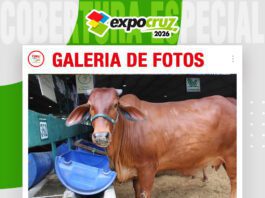 📷Galería de fotos | La Reserva una cabaña nueva pero con excelentes animales