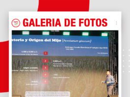 📷Galería de fotos | La era del Mijo en Bolivia