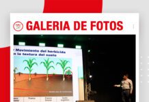 📷Galería de fotos | Malezas en soya