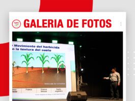 📷Galería de fotos | Malezas en soya