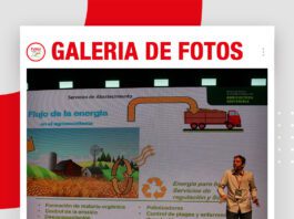 📷Galería de fotos | Materia Orgánica en el suelo
