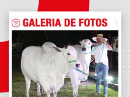 📷Galería de fotos | Presentación de animales para el remate Gala de Excelencia