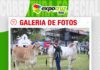 📷Galería de fotos | Primera jornada de juzgamiento Brahman