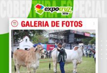 📷Galería de fotos | Primera jornada de juzgamiento Brahman