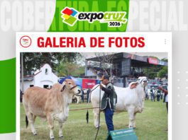 📷Galería de fotos | Primera jornada de juzgamiento Brahman