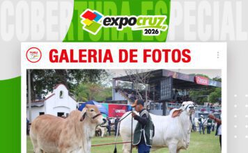 📷Galería de fotos | Primera jornada de juzgamiento Brahman