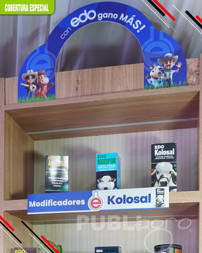 RODEO5