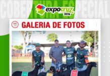 📷Galería de fotos | Raza Santa Inés y Dorper