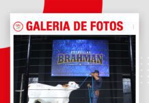 📷Galería de fotos | Remate Estrellas Brahman