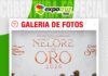📷Galería de fotos | Remate Nelore de Oro, Cabaña Santiago y Rancho La Caldera
