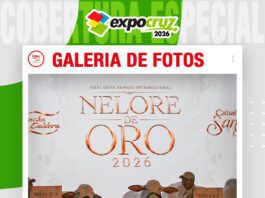 📷Galería de fotos | Remate Nelore de Oro, Cabaña Santiago y Rancho La Caldera