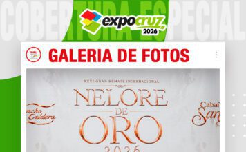 📷Galería de fotos | Remate Nelore de Oro, Cabaña Santiago y Rancho La Caldera
