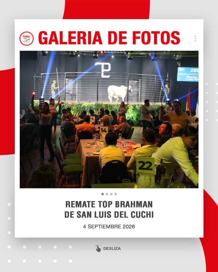 Remate-TOP-Brahman-de-San-Luis-del-Cuchi0