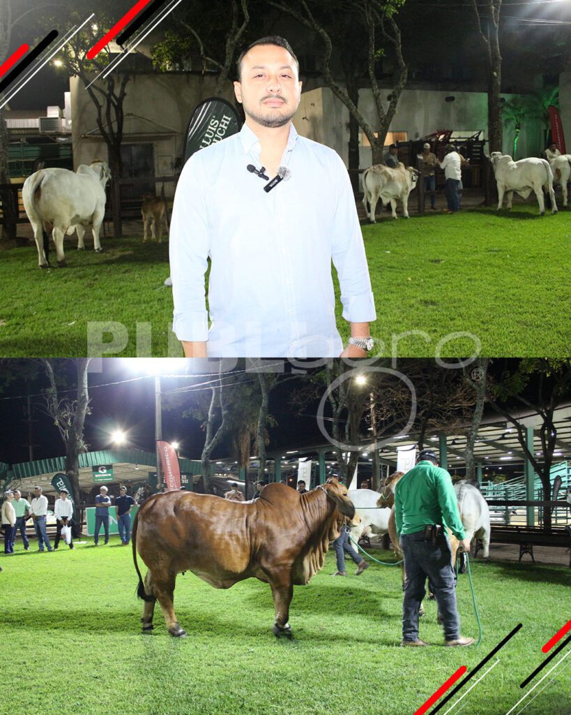 Remate-TOP-Brahman-de-San-Luis-del-Cuchi10