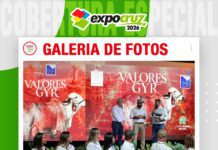 📷Galería de fotos | Remate Valores Gyr