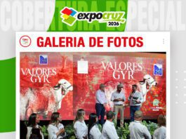 📷Galería de fotos | Remate Valores Gyr