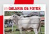 📷Galería de fotos | Sexto shopping de reproductores y matrices de Cabaña Santo Domingo