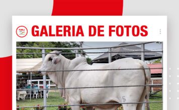 📷Galería de fotos | Sexto shopping de reproductores y matrices de Cabaña Santo Domingo