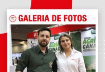 📷Galería de fotos | Semillas de pasto Lima