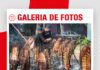 📷Galería de fotos | Show gastronómico y carnes