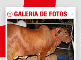 📷Galería de fotos | Sindi El Shofar