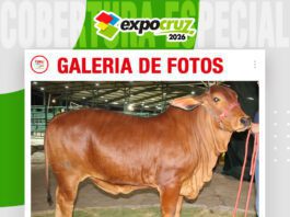 📷Galería de fotos | Sindi Shofar se prepara para su remate