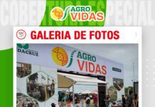 📷Galería de fotos | AGRO VIDAS 2026