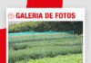 馃摲Galer铆a de fotos | Agro Vidas 2026 ya esta en marcha