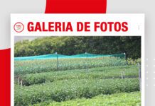 馃摲Galer铆a de fotos | Agro Vidas 2026 ya esta en marcha