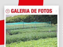 📷Galería de fotos | Agro Vidas 2026 ya esta en marcha