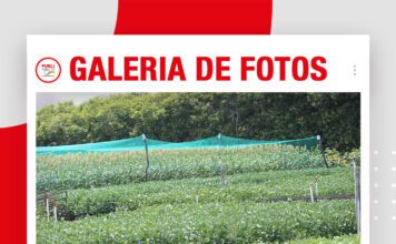 📷Galería de fotos | Agro Vidas 2026 ya esta en marcha