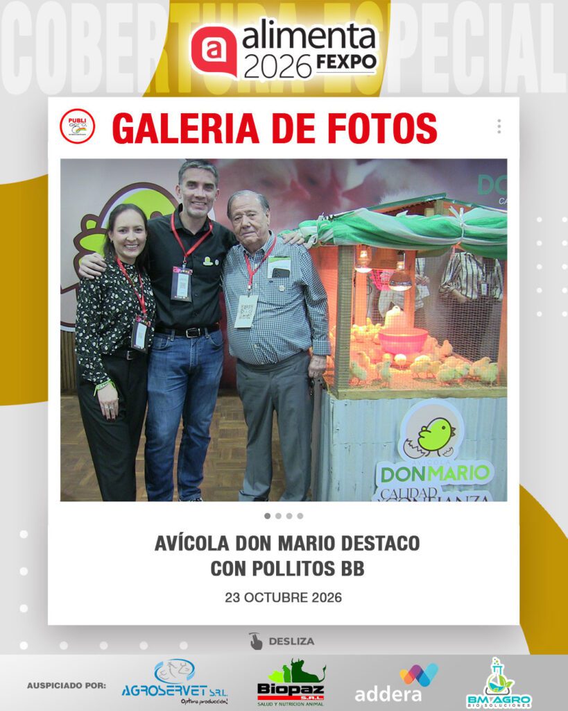 Avícola-Don-Mario-destaco-con-pollitos-BB0