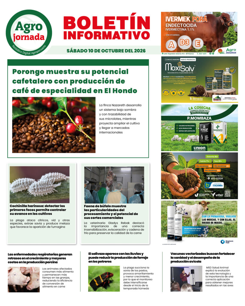 BOLETÍN AGROJORNADA 10:10:26