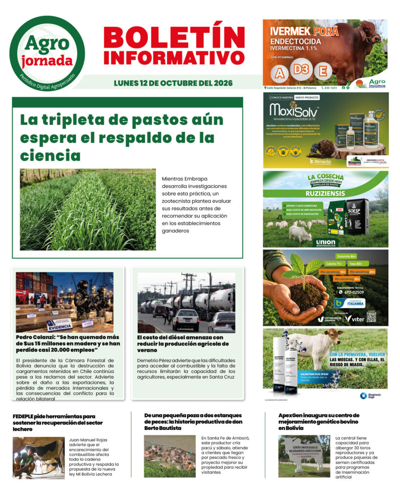 BOLETÍN AGROJORNADA 12:10:26