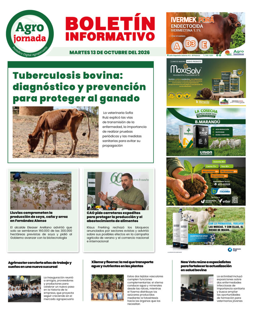 BOLETÍN AGROJORNADA 13:10:26