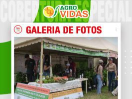 📷Galería de fotos | Bolivia: potencia frutícola
