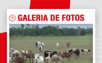 📷Galería de fotos | Campo de Vida cinco años en la producción de ovinos y caprinos