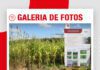 📷Galería de fotos | Calicata para comprender las bondades de los cultivos de servicios