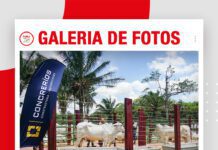 📷Galería de fotos | Concrerios en Remates de Élite