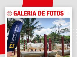 📷Galería de fotos | Concrerios en Remates de Élite