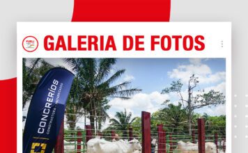 📷Galería de fotos | Concrerios en Remates de Élite