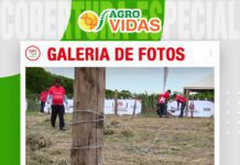 📷Galería de fotos | Concurso de alambradores de Monterrey