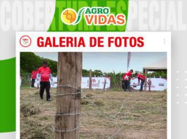 📷Galería de fotos | Concurso de alambradores de Monterrey