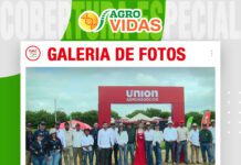📷Galería de fotos | Consorcio de cultivos y pasturas