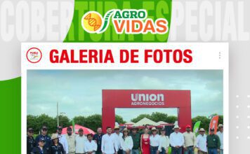 📷Galería de fotos | Consorcio de cultivos y pasturas