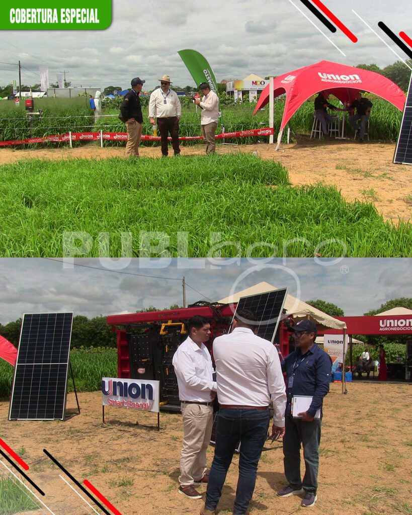 Consorcio-de-cultivos-y-pasturas2
