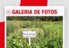 📷Galería de fotos | Cultivos de servicios para suelos sustentables