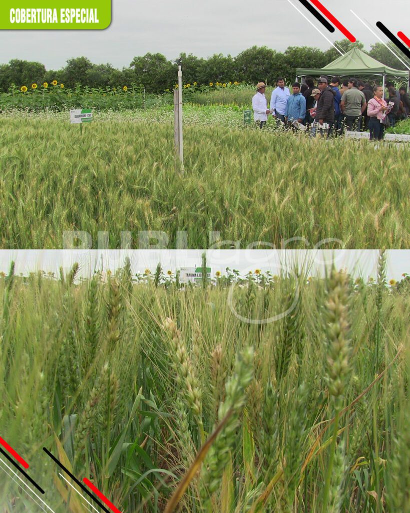El-CIAT-promueve-la-sostenibilidad-del-suelo16